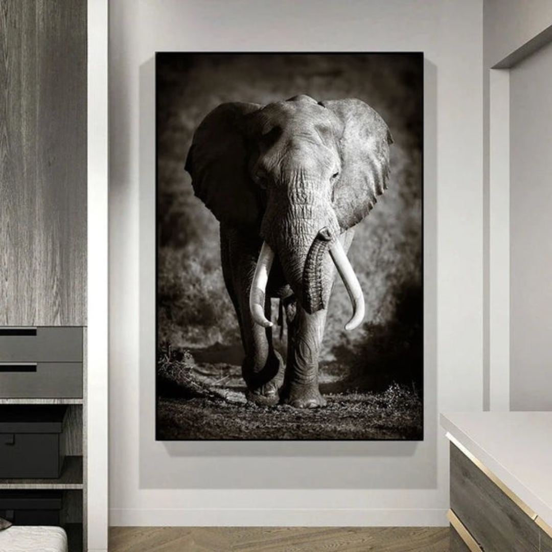 Monochrome Elephant Collection - Canvas & Curio