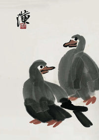 Gaze of the Birds