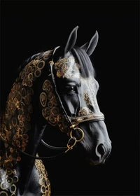 Noble Horse