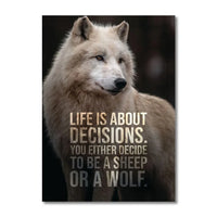 Sheep or Wolf: The Choice