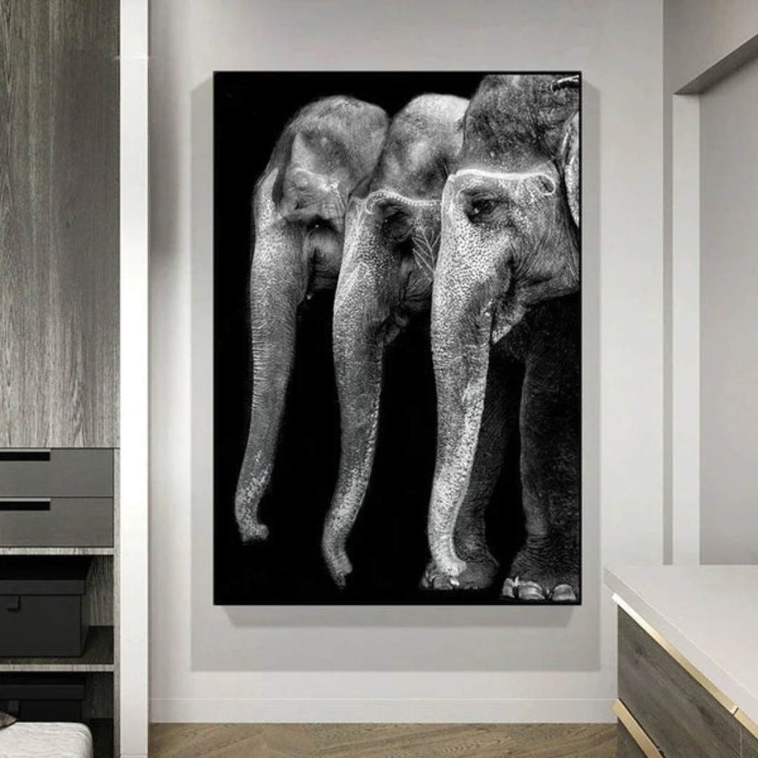 Monochrome Elephant Collection - Canvas & Curio