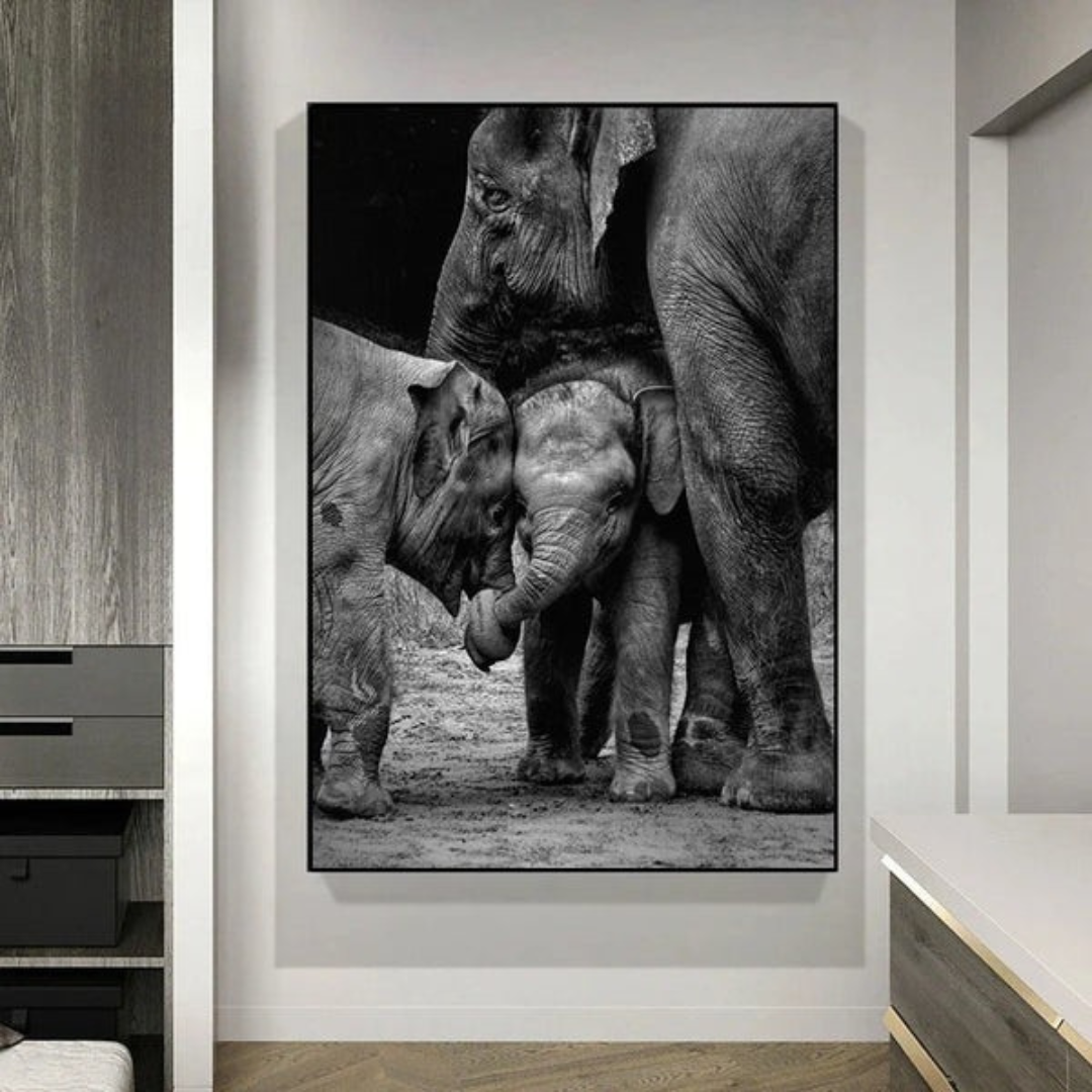 Monochrome Elephant Collection - Canvas & Curio