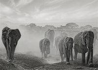 Endurance on Arid Plains