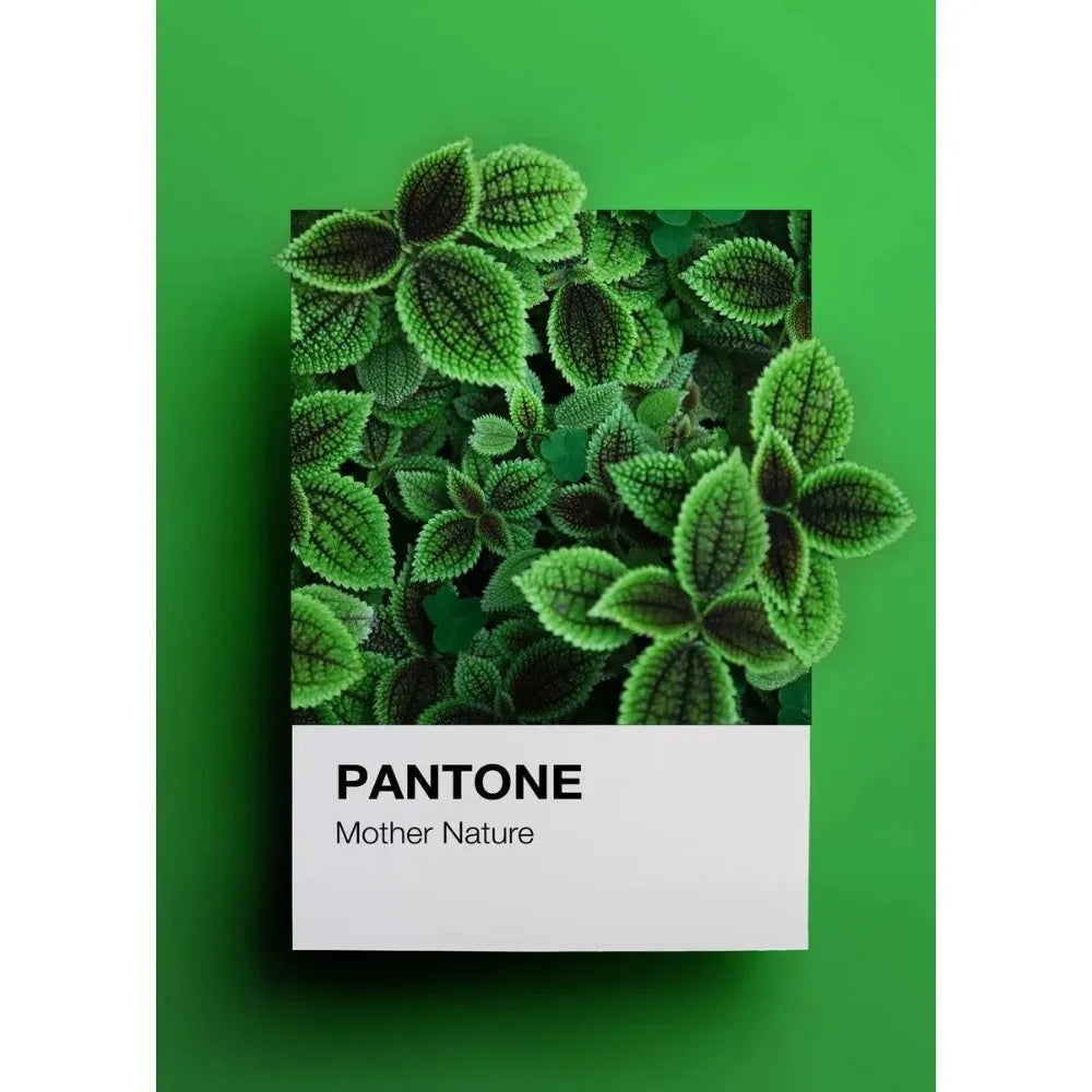 Pantone Art Collection - Canvas & Curio