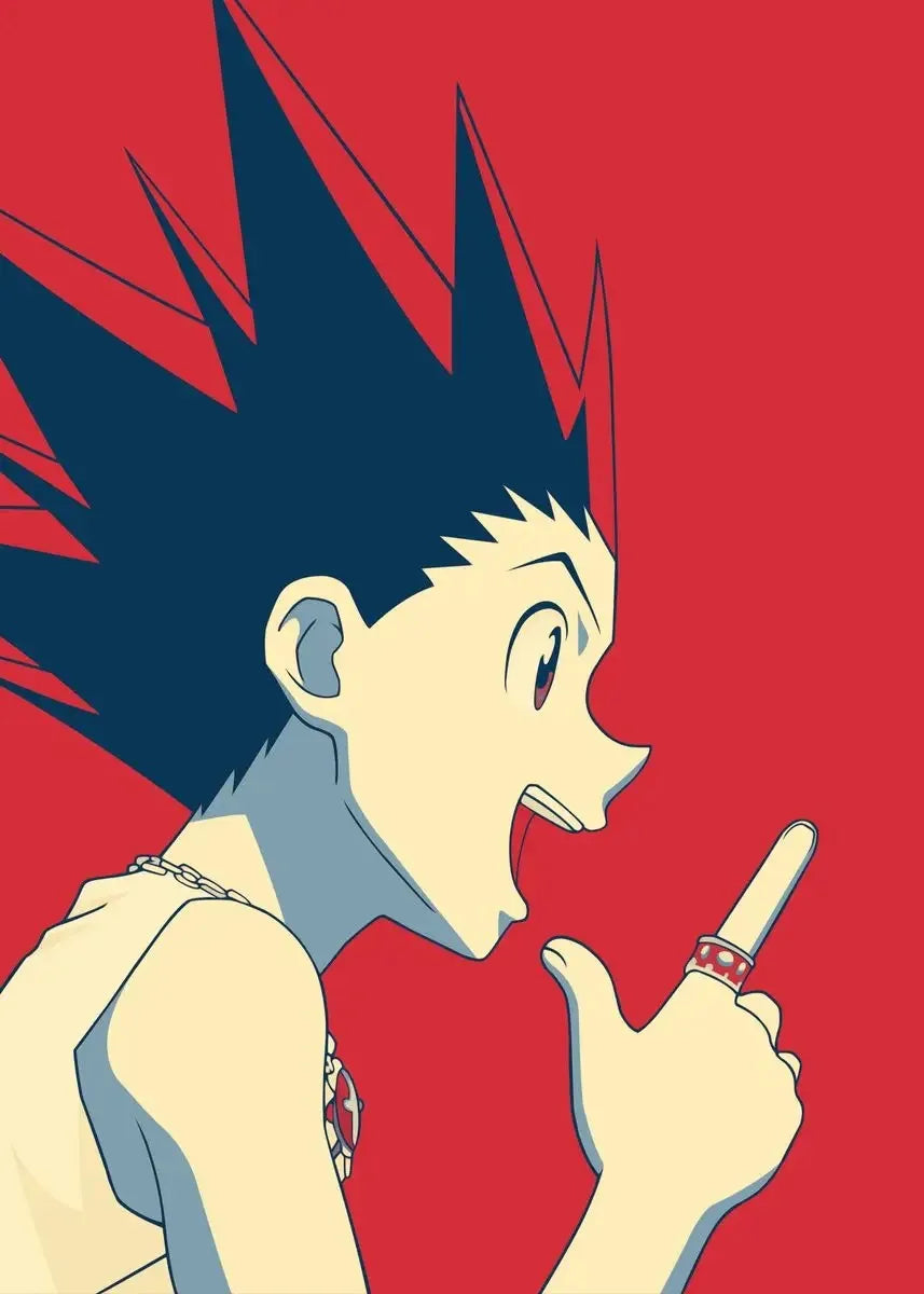 Hunter X Hunter Collection - Canvas & Curio