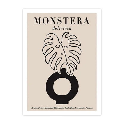 Minimalist Matisse & Picasso Collection - Canvas & Curio