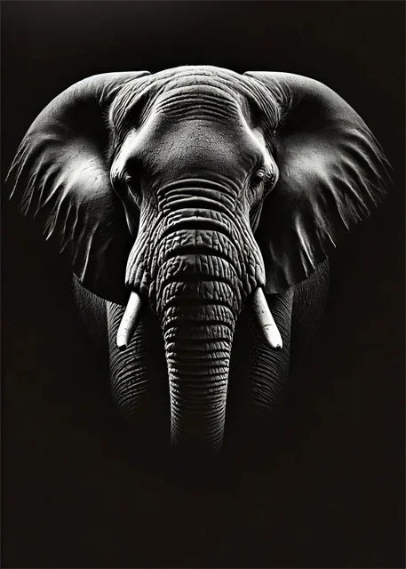 Monochrome Elephant Collection - Canvas & Curio