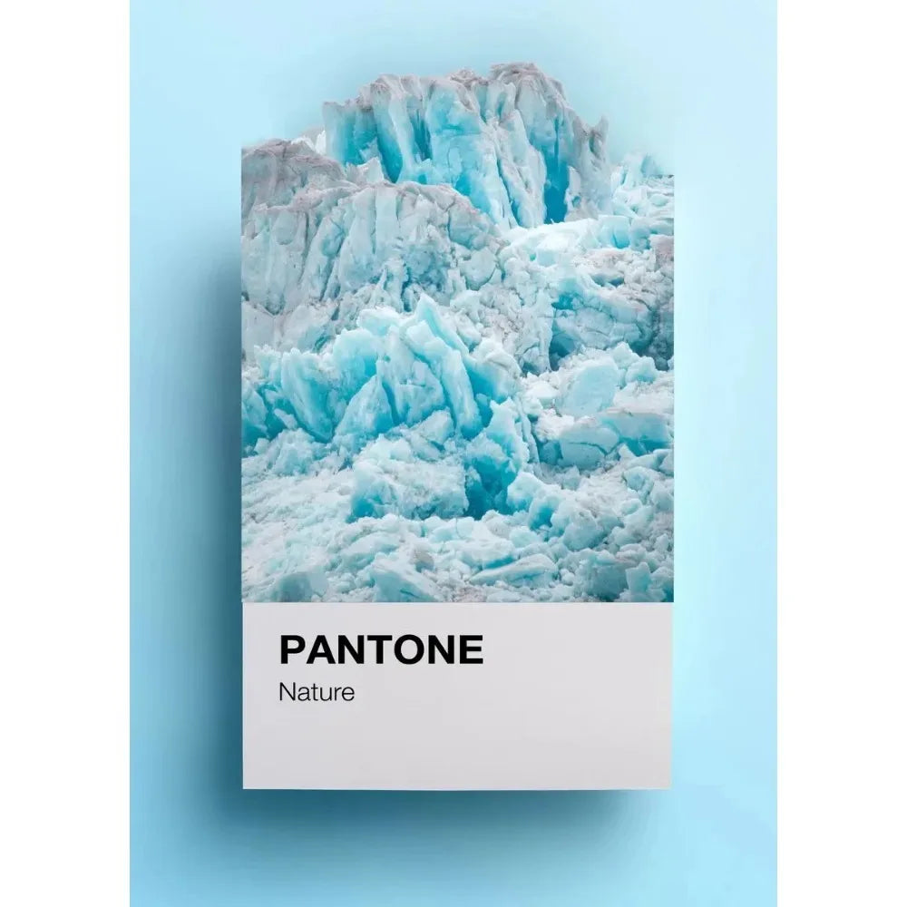 Pantone Art Collection - Canvas & Curio