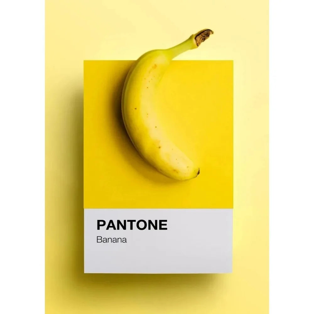 Pantone Art Collection - Canvas & Curio