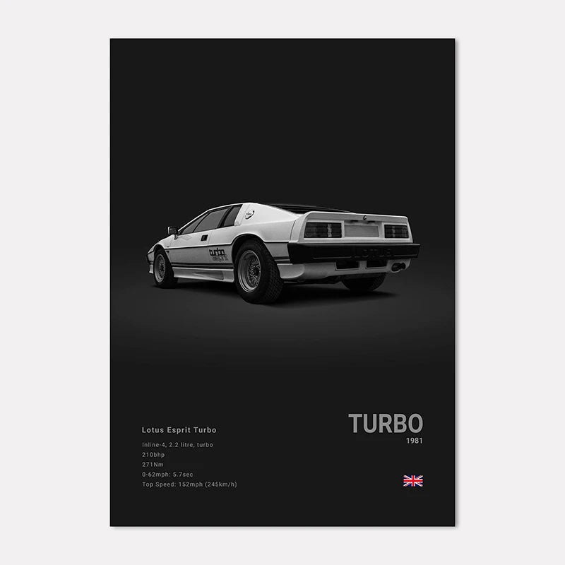 Black & White Sport Cars Collection - Canvas & Curio