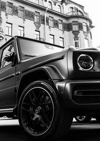 Monochrome Majesty