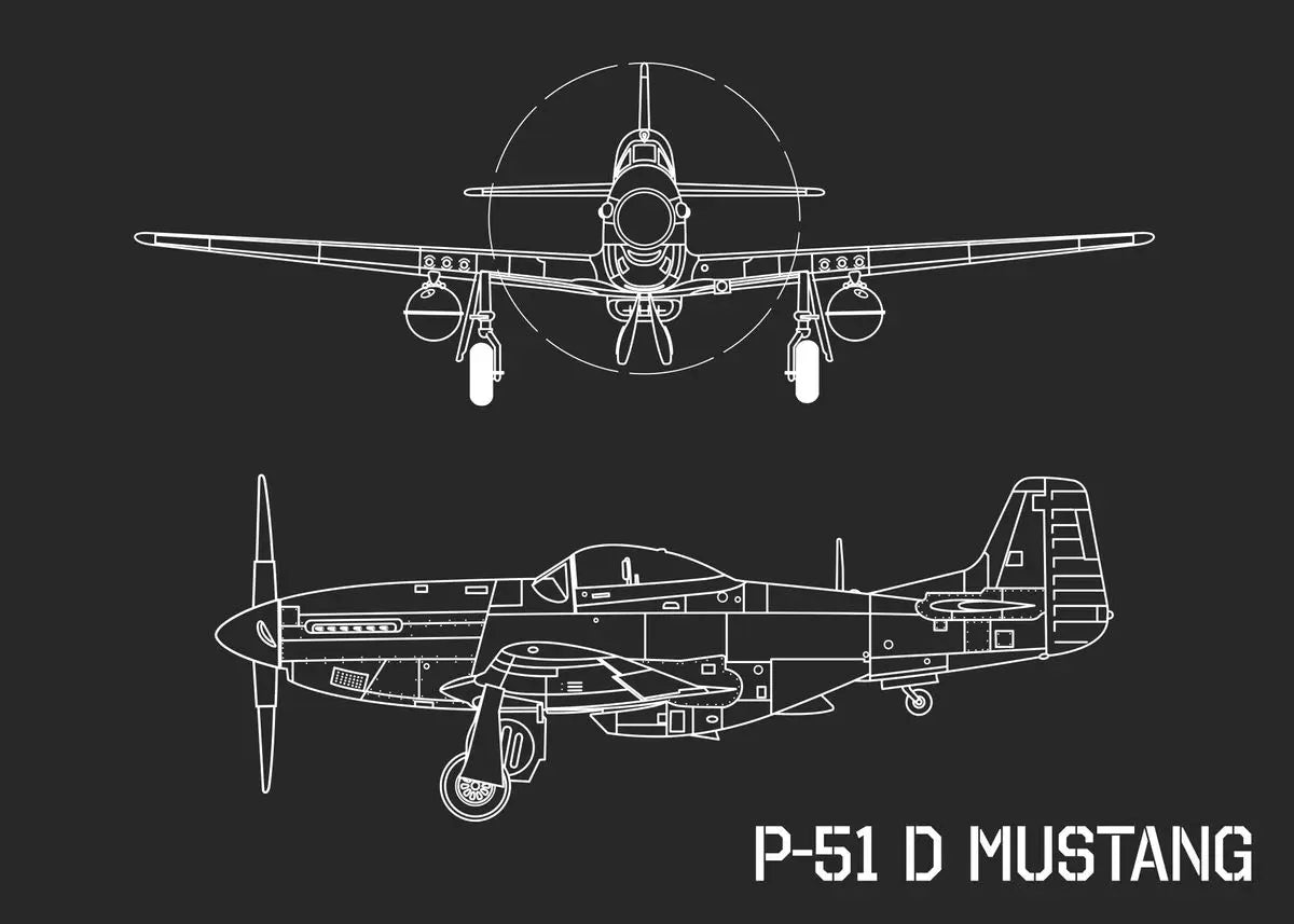 Modern Aircraft Blueprint Collection - Canvas & Curio