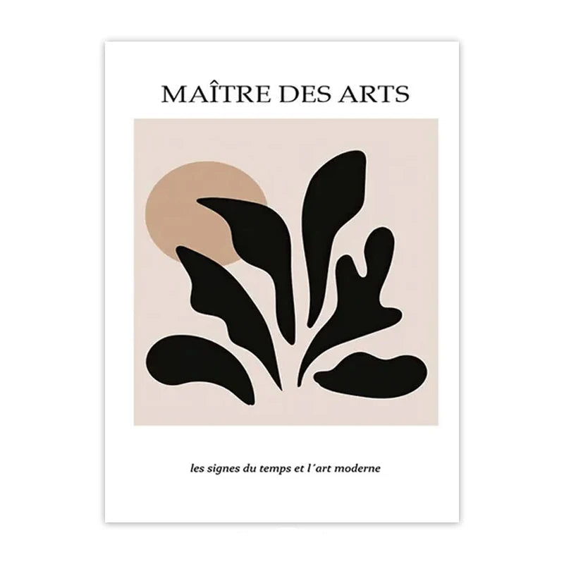 Minimalist Matisse & Picasso Collection - Canvas & Curio