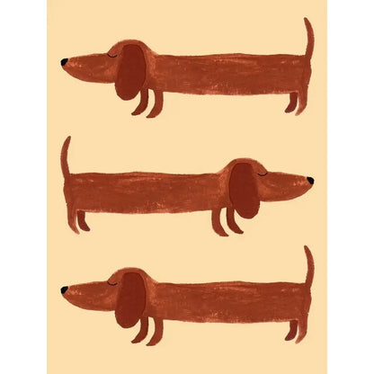 Adorable Dachshund Art Collection - Canvas & Curio