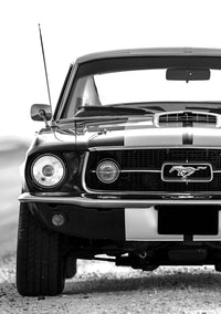 Prancing Horse Power
