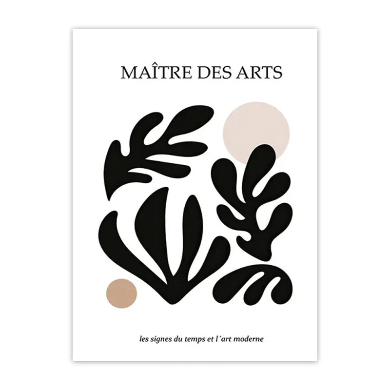 Minimalist Matisse & Picasso Collection - Canvas & Curio