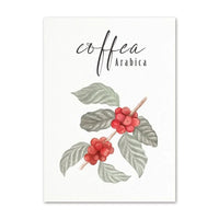 Arabica Essence