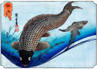 Dancing Fins