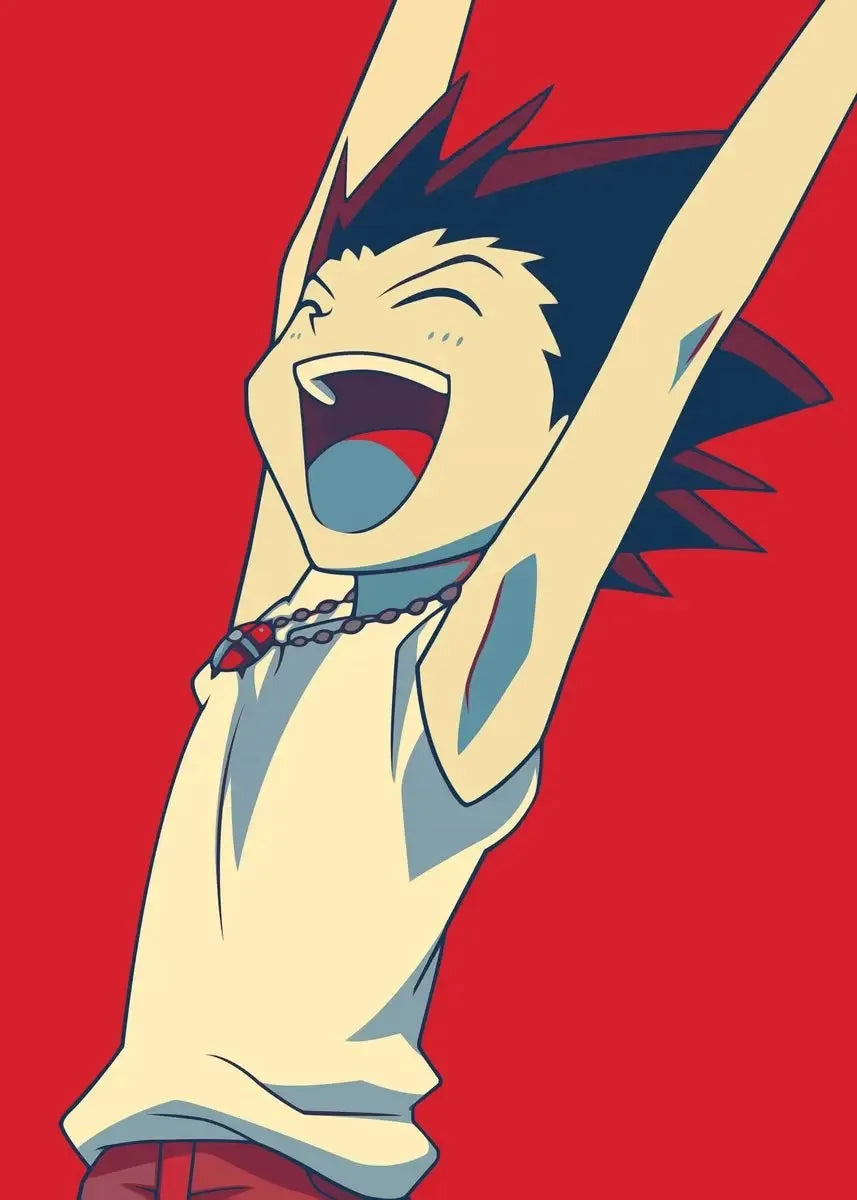 Hunter X Hunter Collection - Canvas & Curio