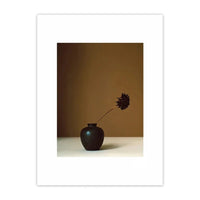 Midnight Bloom