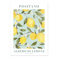 Positano Albero di Limone I