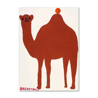 Camel's Court: Hump Day Hoops
