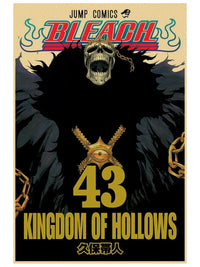 Kingdom of Hollows 43