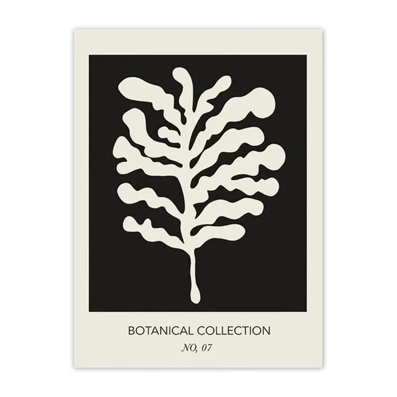 Minimalist Matisse & Picasso Collection - Canvas & Curio
