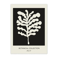 White Flora on Ebony