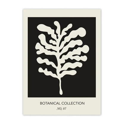 Minimalist Matisse & Picasso Collection - Canvas & Curio