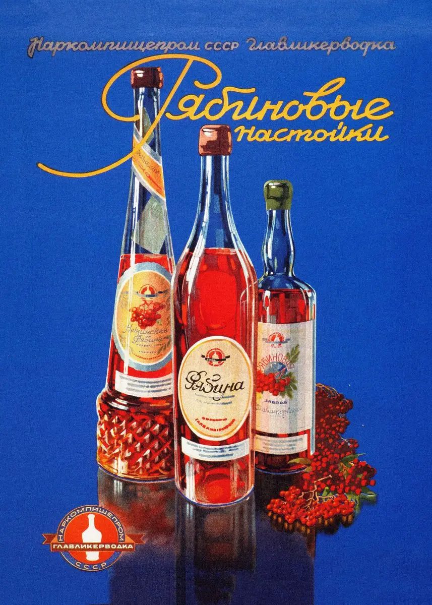 Vintage Soviet Bar & Kitchen Collection - Canvas & Curio