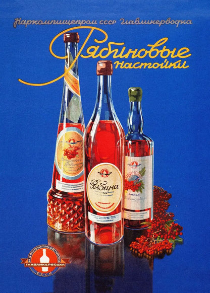 Vintage Soviet Bar & Kitchen Collection - Canvas & Curio