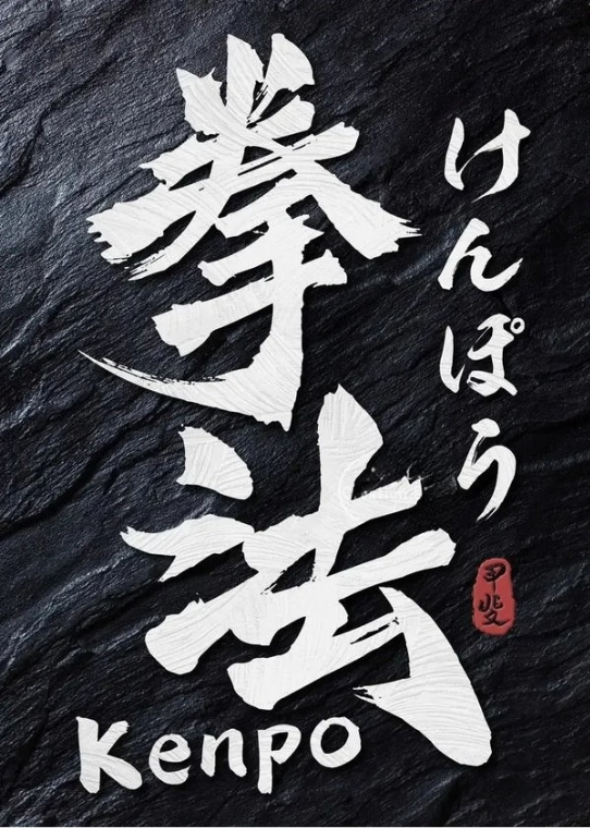 Japanese Marital Art Collection - Canvas & Curio